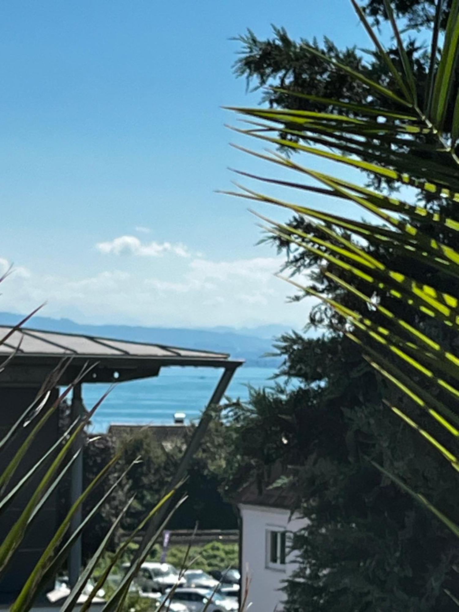 Traumhafte Ferienwohnung Mit See Und Bergsicht Friedrichshafen Exterior photo